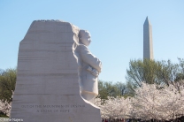 MLK Jr Memorial