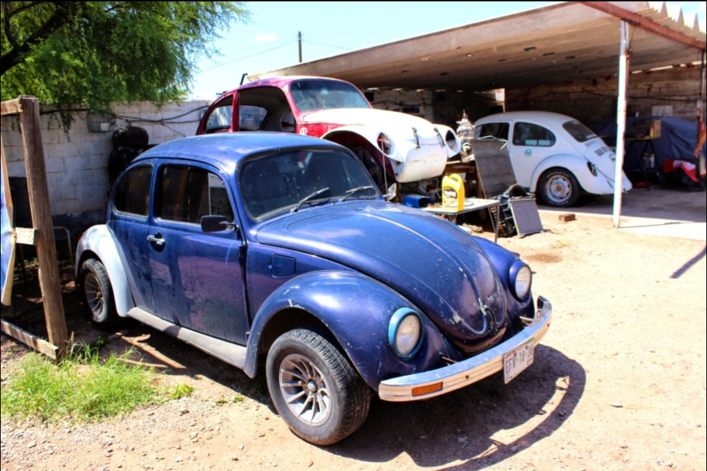 Several VW Beetles in different states of repair.